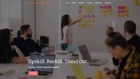skillba review|Skillbook Academy Reviews .